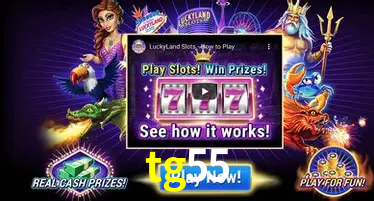 Descubra o Mundo do Cassino Online com tg55
