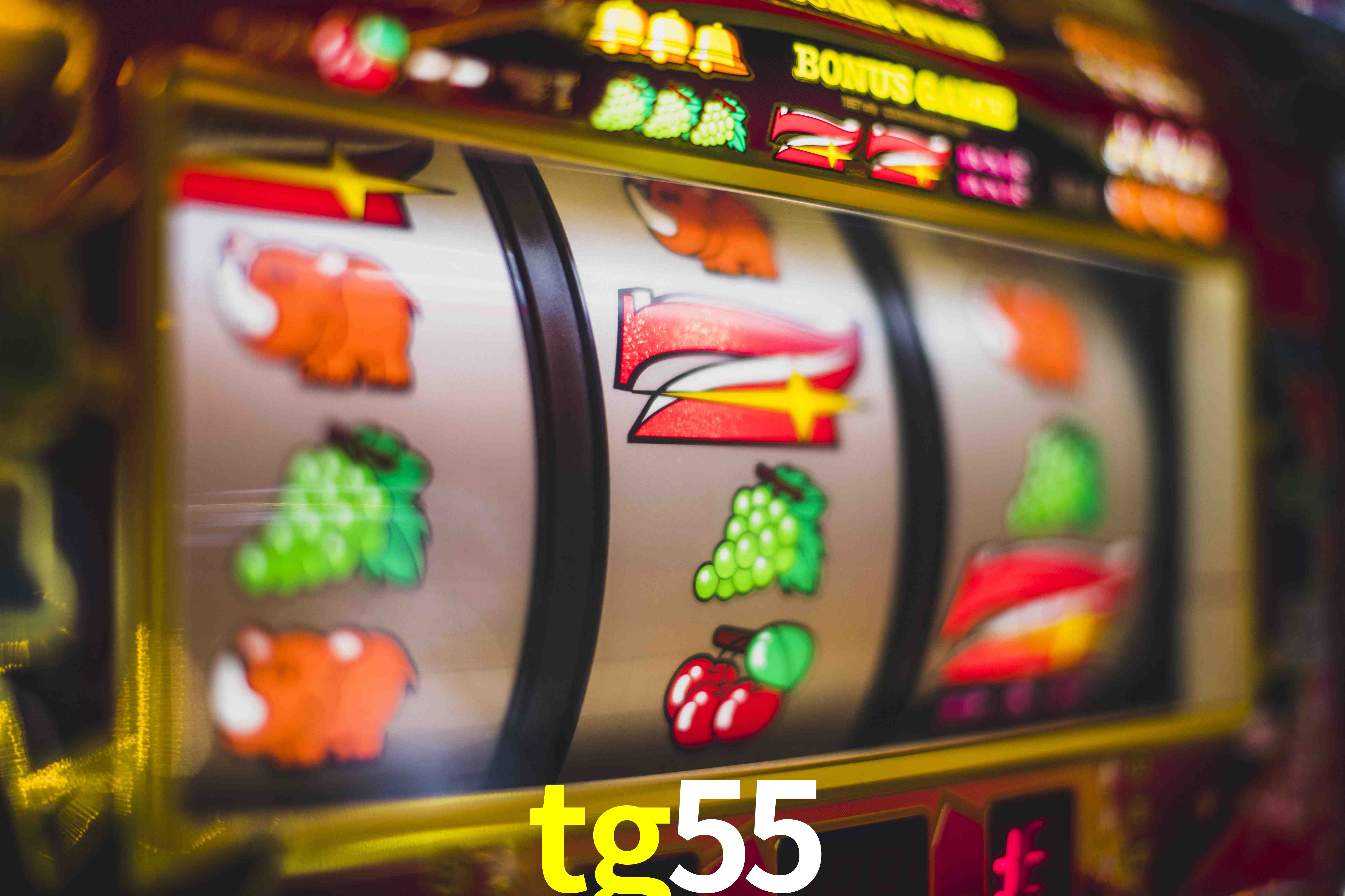 Basketball Betting tg55